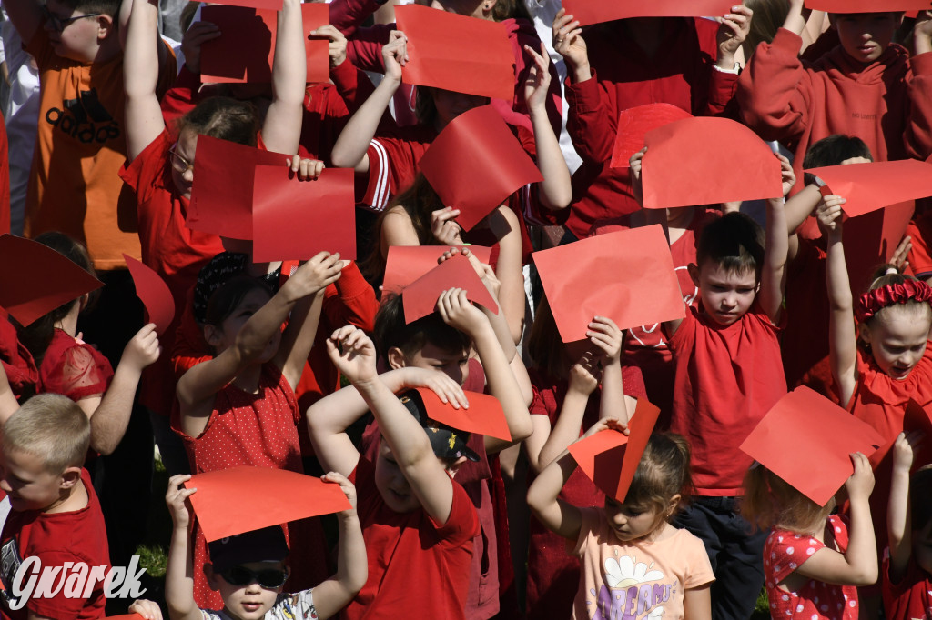 Nowe Chechło. Dzień Flagi RP