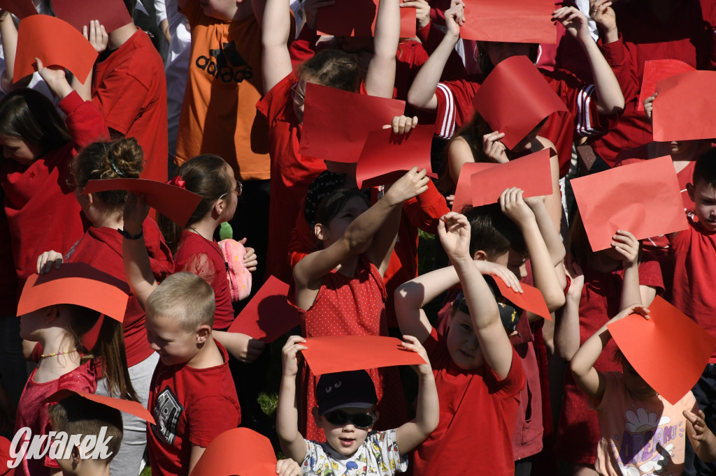 Nowe Chechło. Dzień Flagi RP