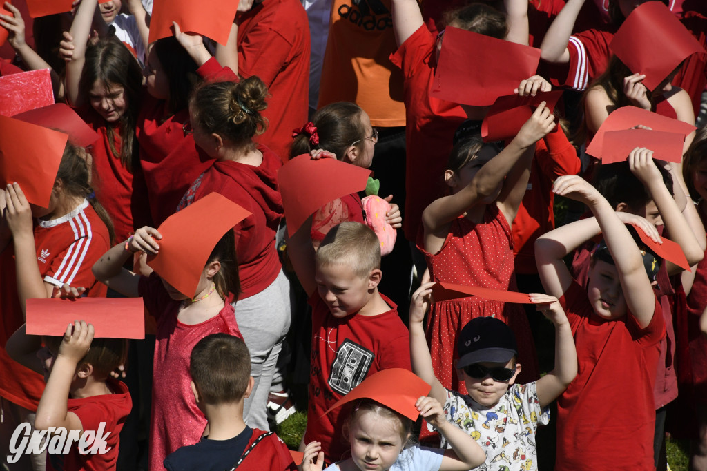 Nowe Chechło. Dzień Flagi RP