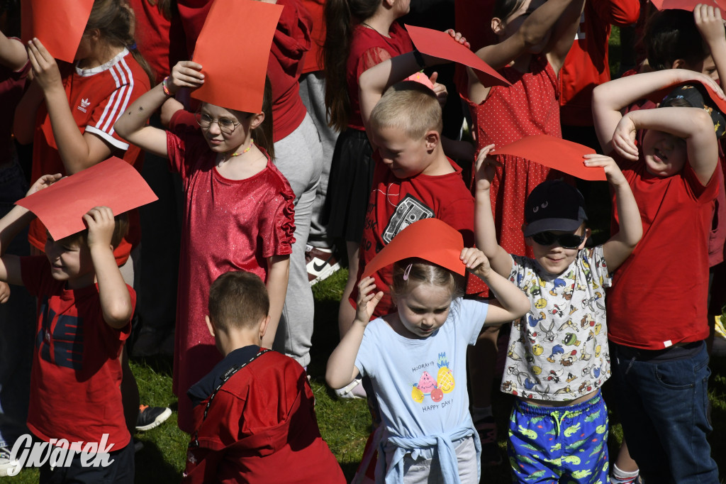 Nowe Chechło. Dzień Flagi RP