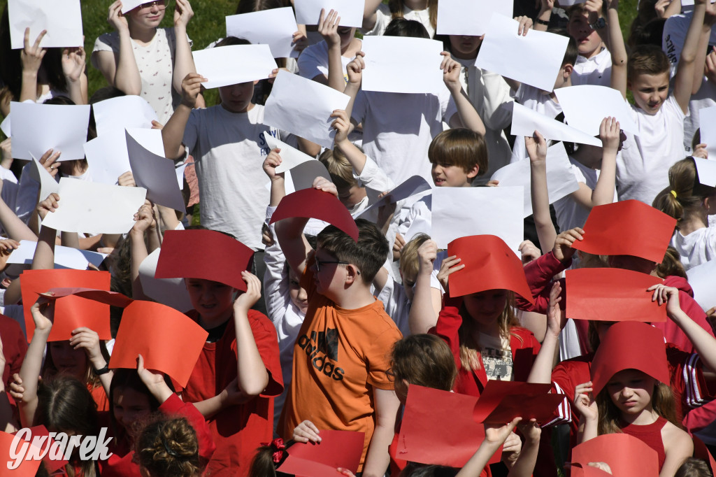 Nowe Chechło. Dzień Flagi RP