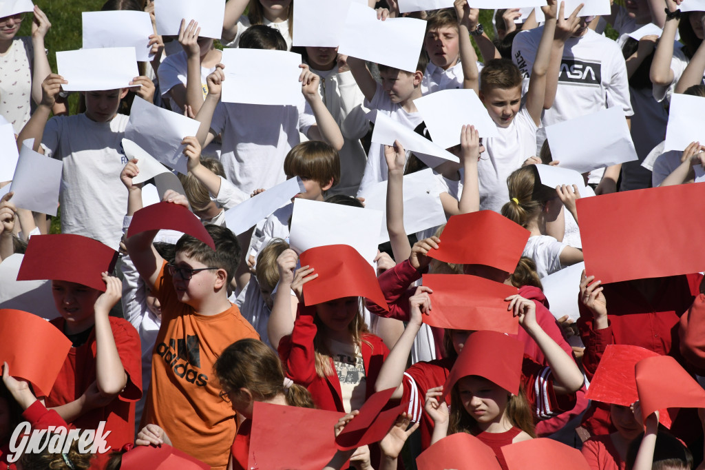 Nowe Chechło. Dzień Flagi RP