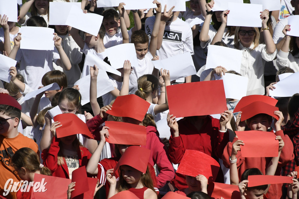 Nowe Chechło. Dzień Flagi RP