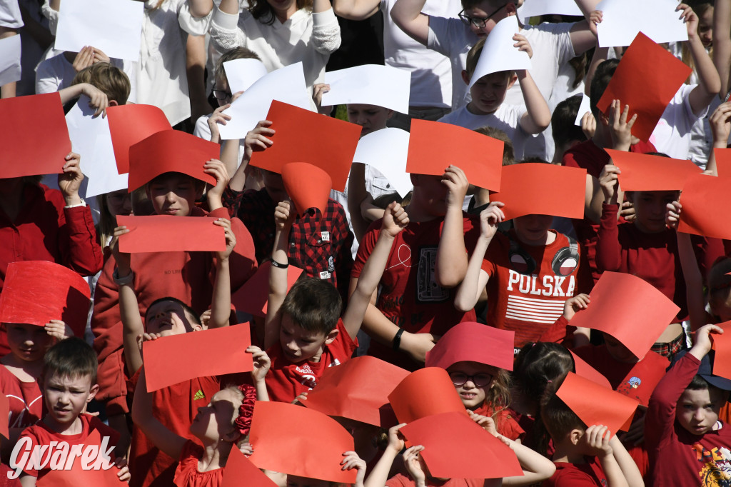 Nowe Chechło. Dzień Flagi RP