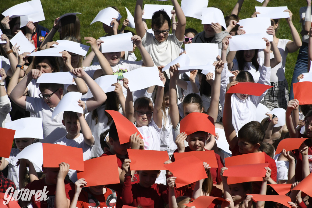 Nowe Chechło. Dzień Flagi RP