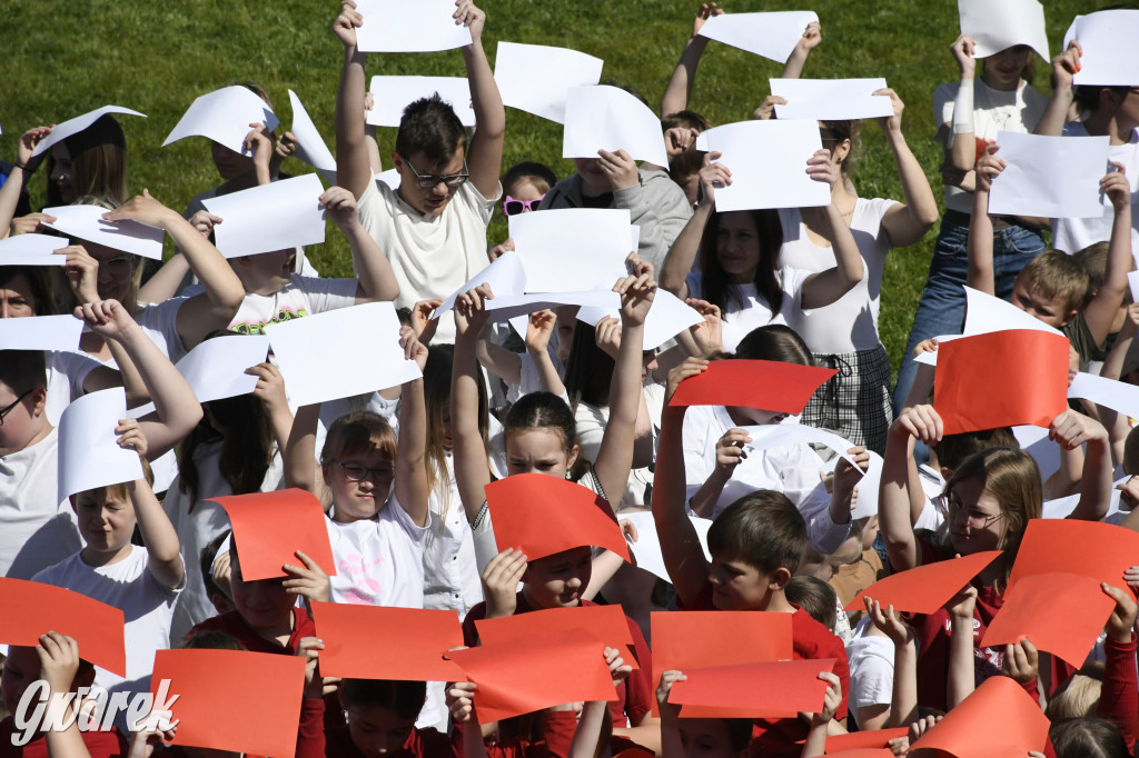 Nowe Chechło. Dzień Flagi RP
