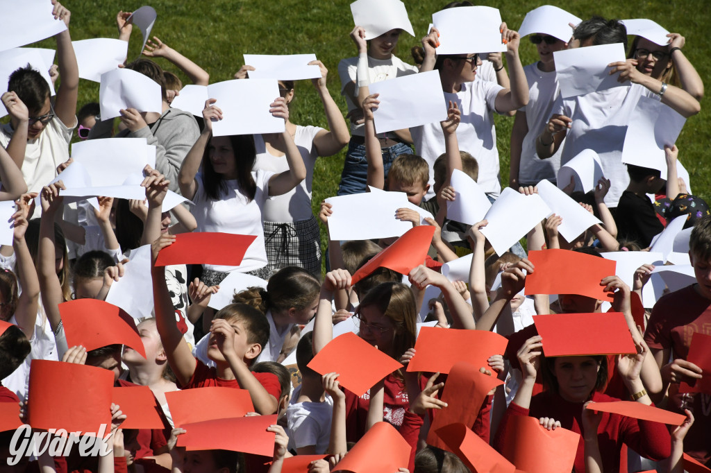 Nowe Chechło. Dzień Flagi RP
