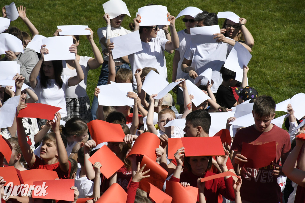 Nowe Chechło. Dzień Flagi RP