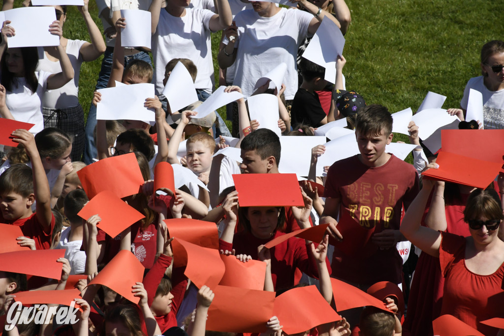 Nowe Chechło. Dzień Flagi RP
