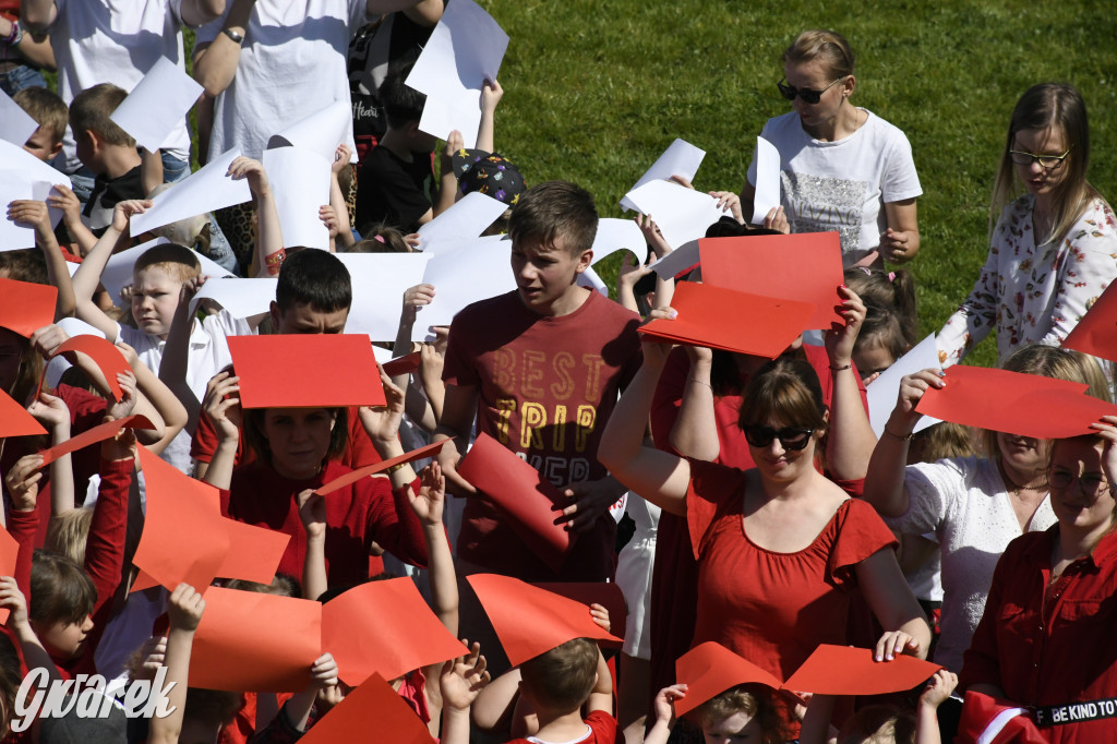 Nowe Chechło. Dzień Flagi RP
