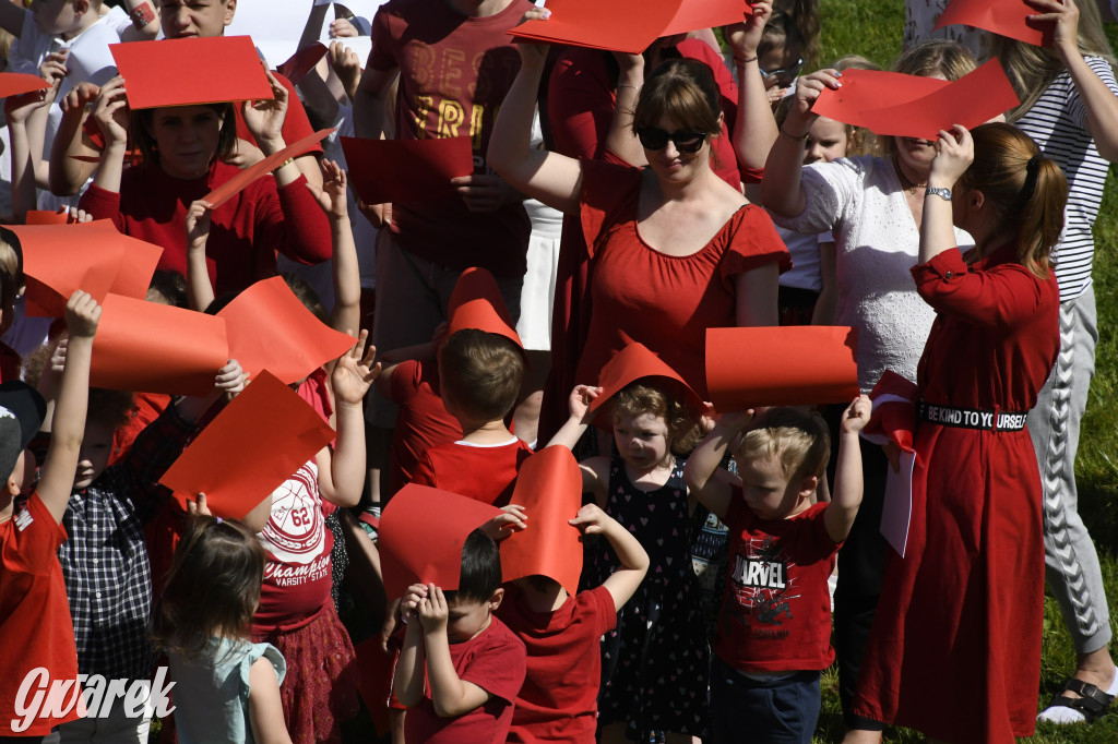 Nowe Chechło. Dzień Flagi RP