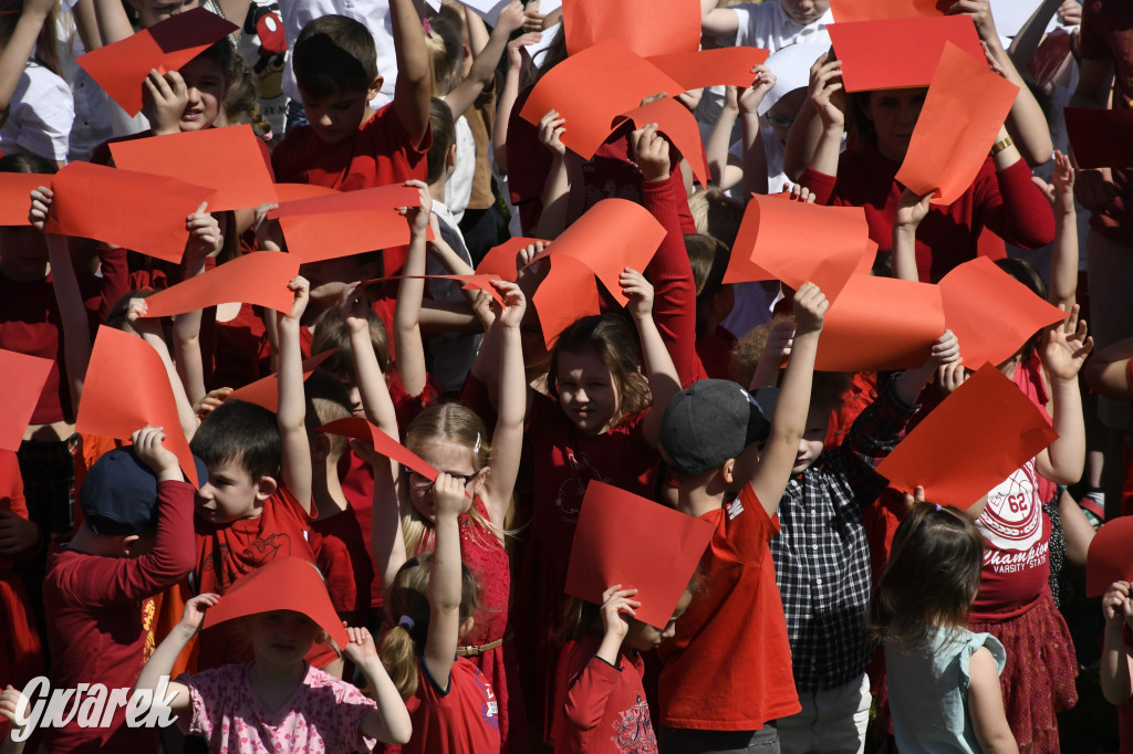 Nowe Chechło. Dzień Flagi RP