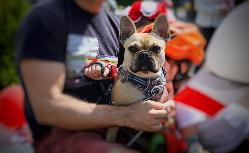 Żywa flaga w Kozłowej Górze i rozdawanie chorągiewek