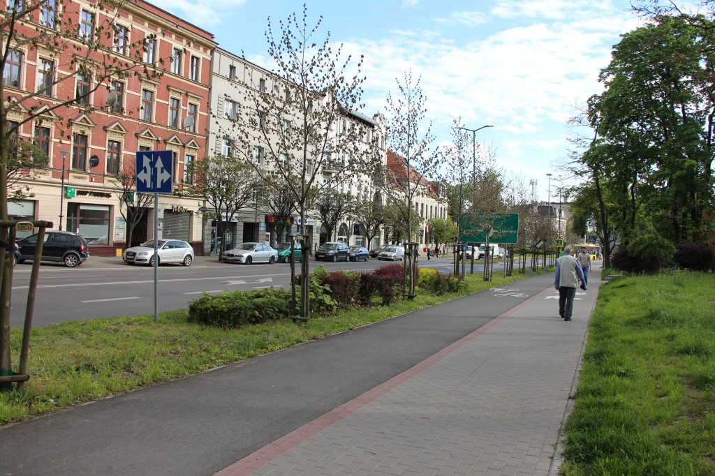 Tarnowskie Góry. Co stanie się z platanami w centrum?