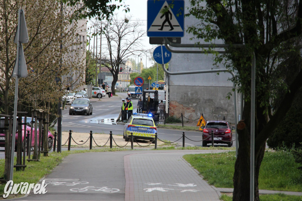 Tarnowskie Góry. Co stanie się z platanami w centrum?