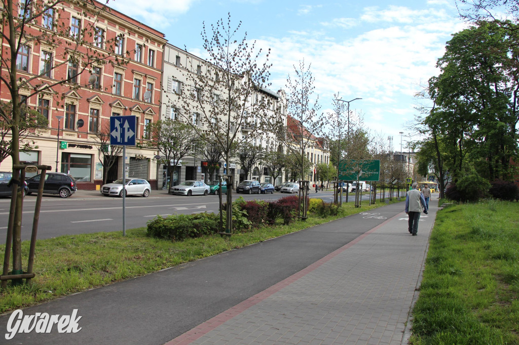 Tarnowskie Góry. Co stanie się z platanami w centrum?