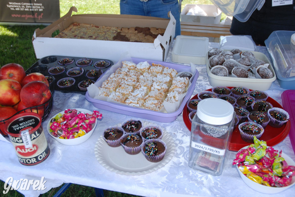 Zlot miłośników audi w Tąpkowicach