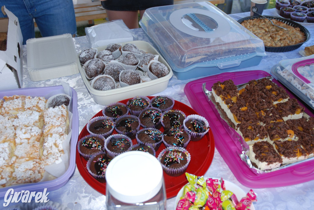 Zlot miłośników audi w Tąpkowicach