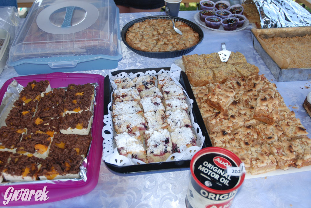 Zlot miłośników audi w Tąpkowicach