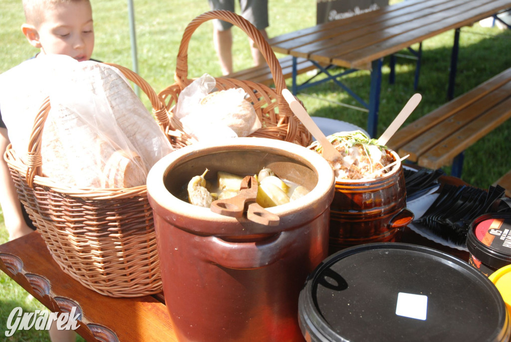 Zlot miłośników audi w Tąpkowicach