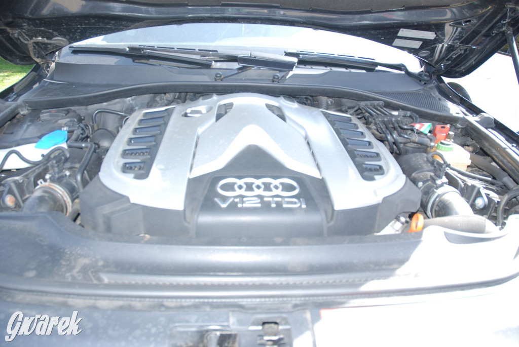 Zlot miłośników audi w Tąpkowicach