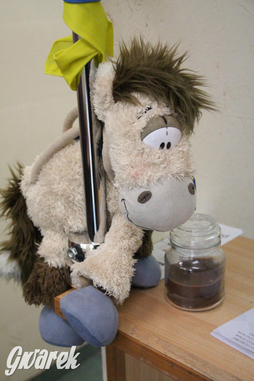 Tarnogórska Szafa Społeczna. To miejsce było potrzebne