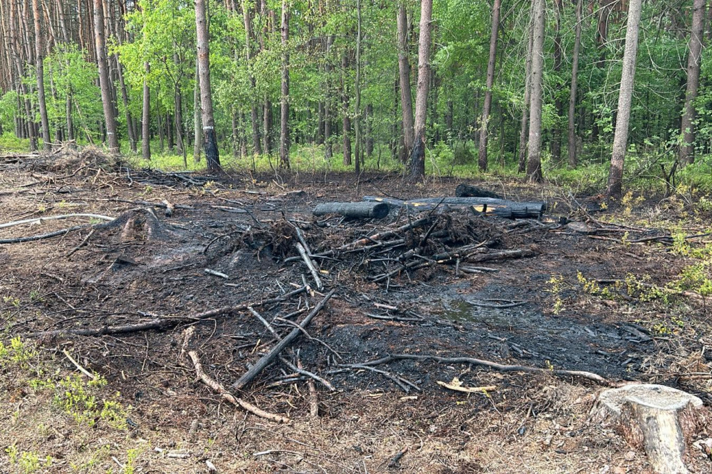 Podpalenia w gminie Świerklaniec? [ZDJĘCIA]