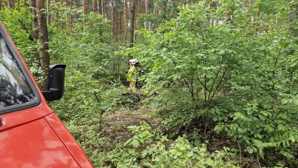 Podpalenia w gminie Świerklaniec? [ZDJĘCIA]