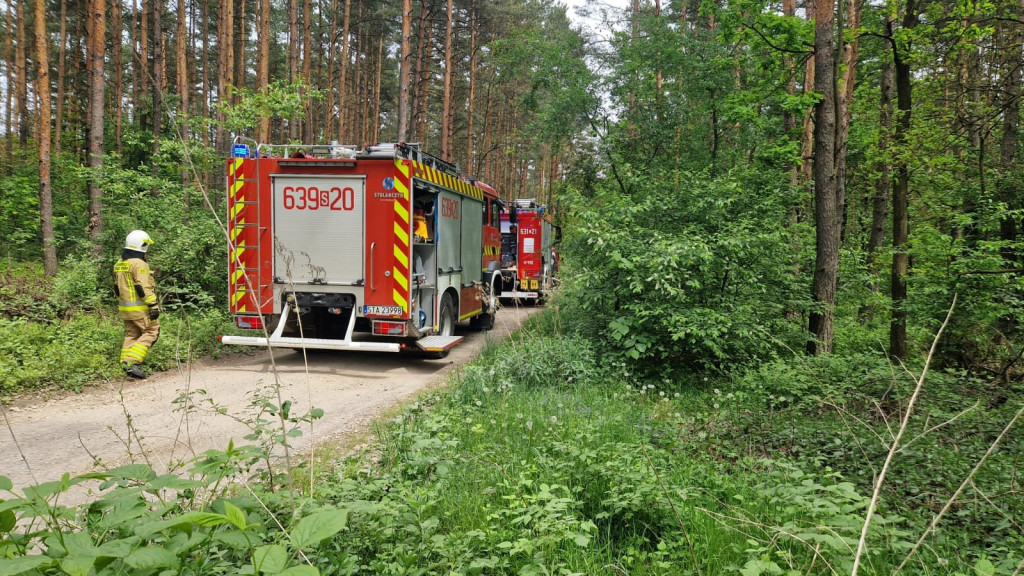 Podpalenia w gminie Świerklaniec? [ZDJĘCIA]