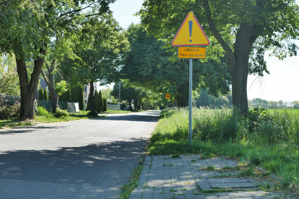 Chcą wybudować chodnik, wytną 21 drzew. Protesty