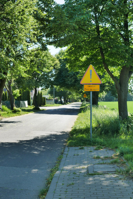 Chcą wybudować chodnik, wytną 21 drzew. Protesty