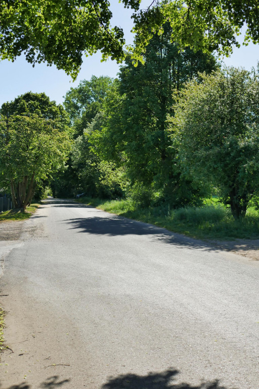 Chcą wybudować chodnik, wytną 21 drzew. Protesty