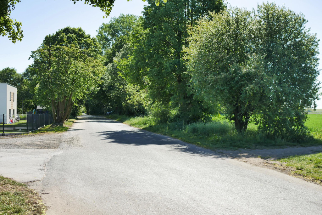 Chcą wybudować chodnik, wytną 21 drzew. Protesty