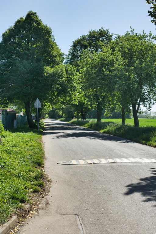 Chcą wybudować chodnik, wytną 21 drzew. Protesty
