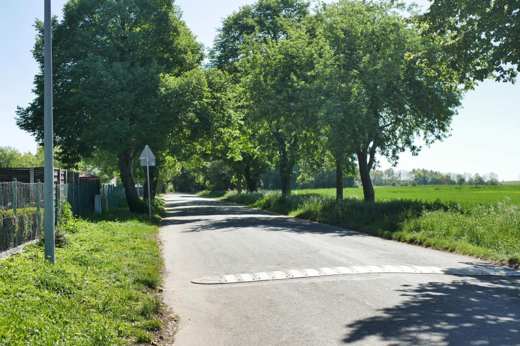 Chcą wybudować chodnik, wytną 21 drzew. Protesty