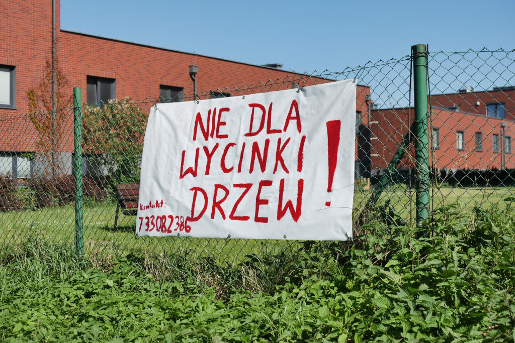 Chcą wybudować chodnik, wytną 21 drzew. Protesty