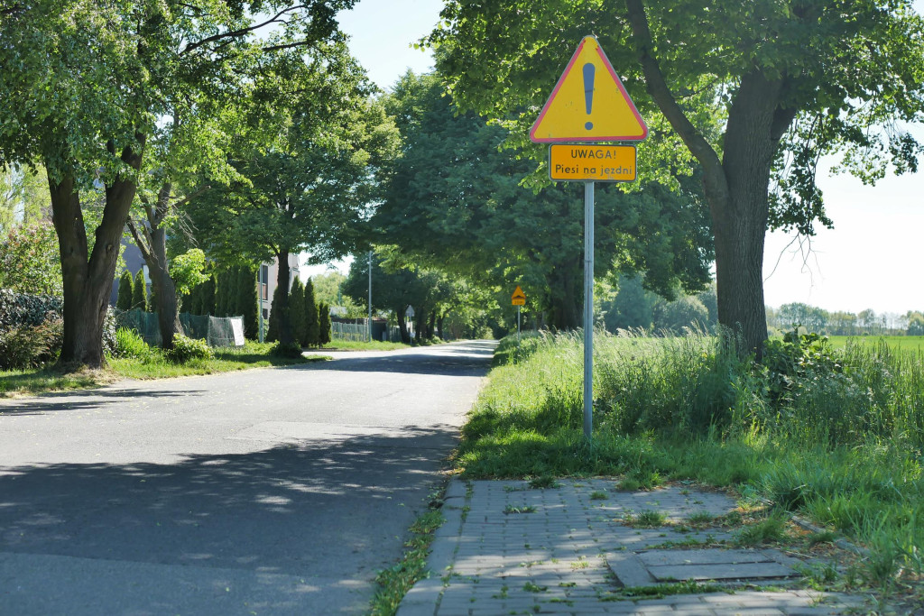 Chcą wybudować chodnik, wytną 21 drzew. Protesty