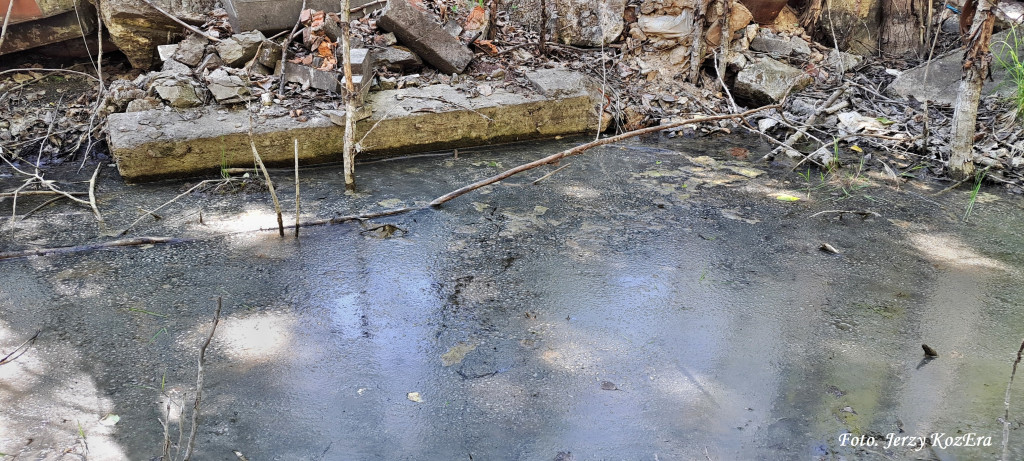 Piekary Śl. Niebezpieczne odpady przy Konarskiego