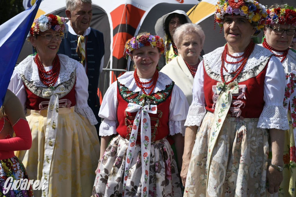 Dni Piekar Śląskich w obiektywie