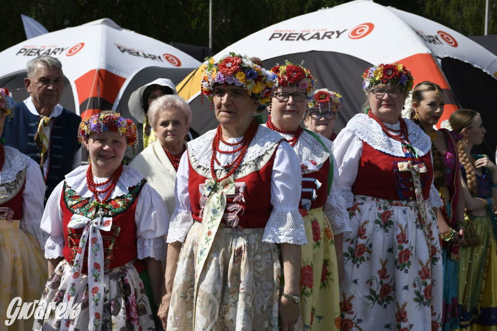 Dni Piekar Śląskich w obiektywie