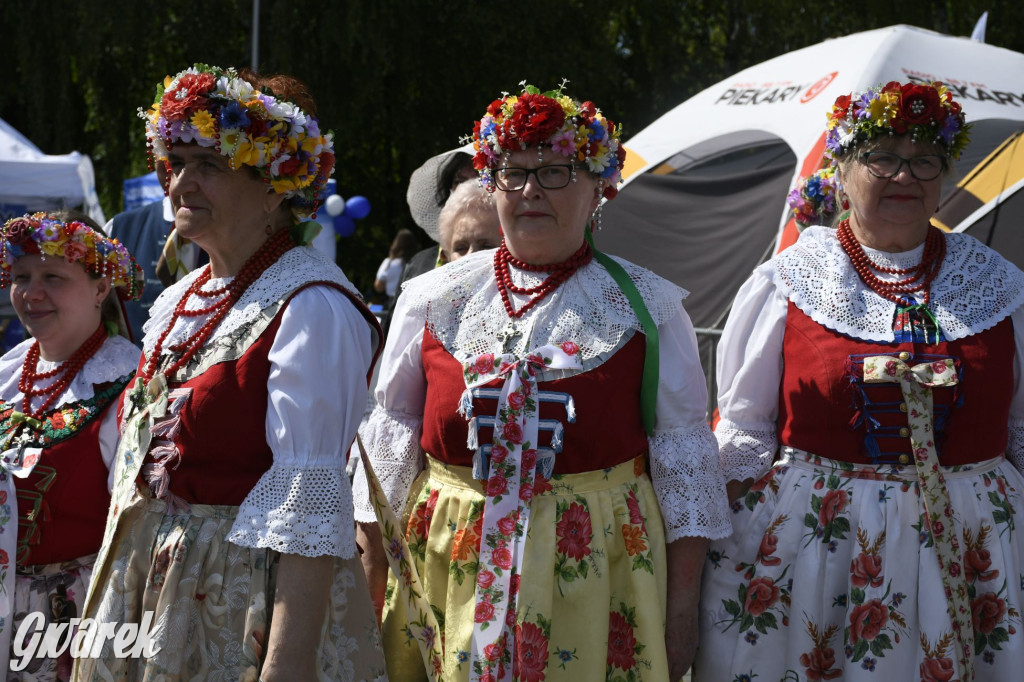 Dni Piekar Śląskich w obiektywie