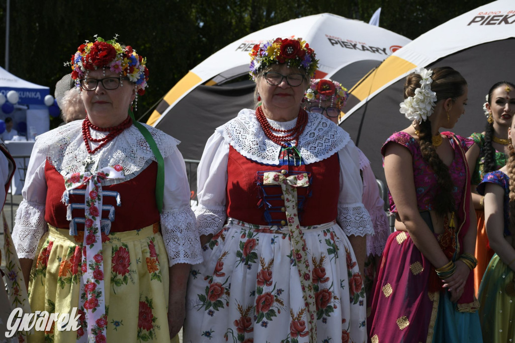 Dni Piekar Śląskich w obiektywie