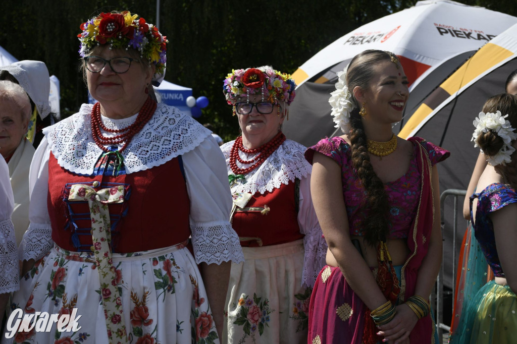 Dni Piekar Śląskich w obiektywie