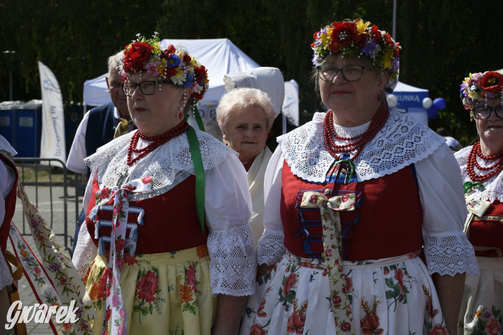 Dni Piekar Śląskich w obiektywie