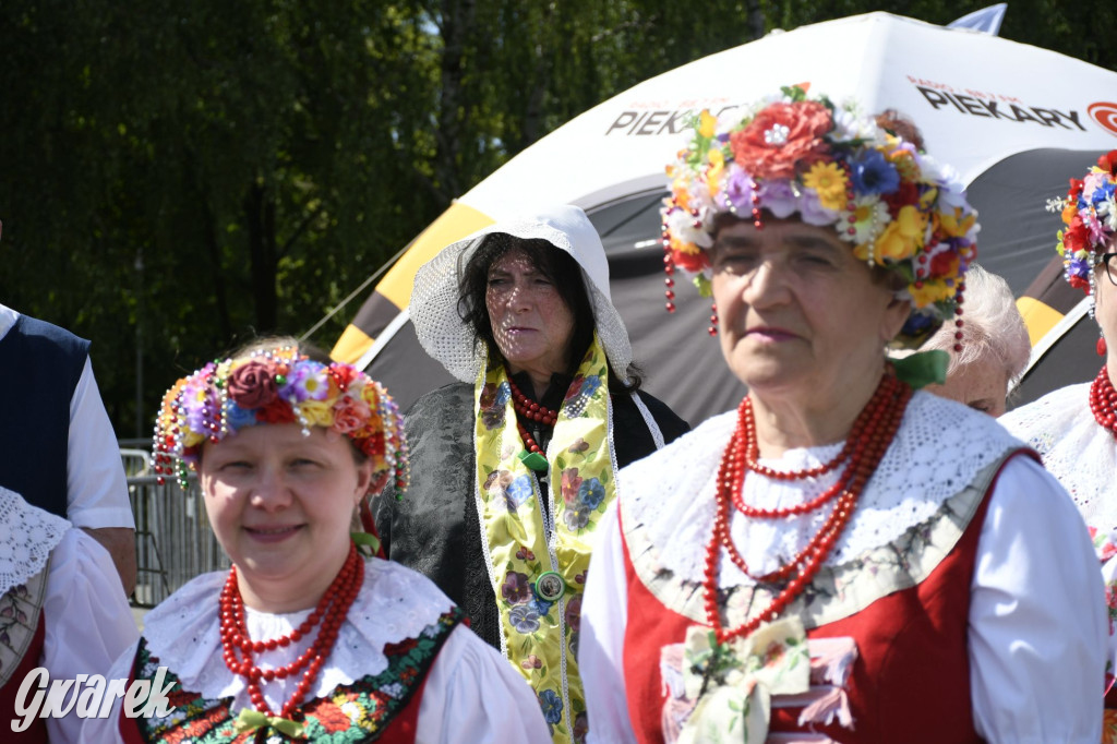 Dni Piekar Śląskich w obiektywie