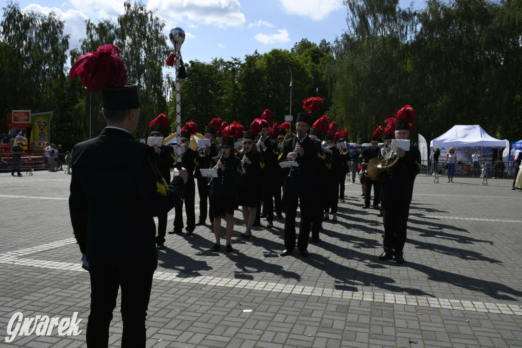 Dni Piekar Śląskich w obiektywie