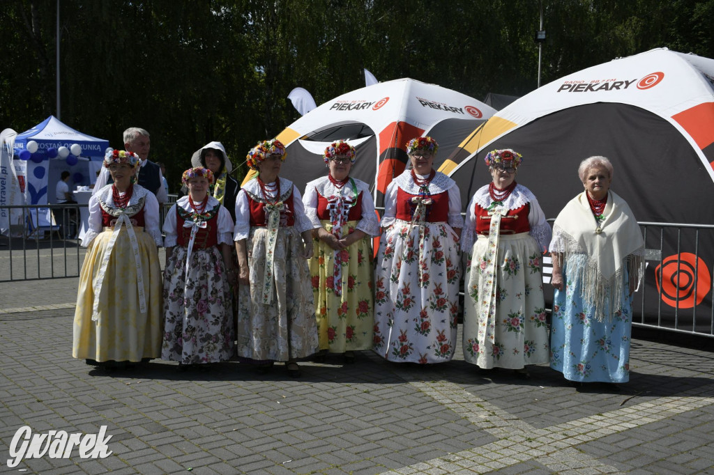 Dni Piekar Śląskich w obiektywie