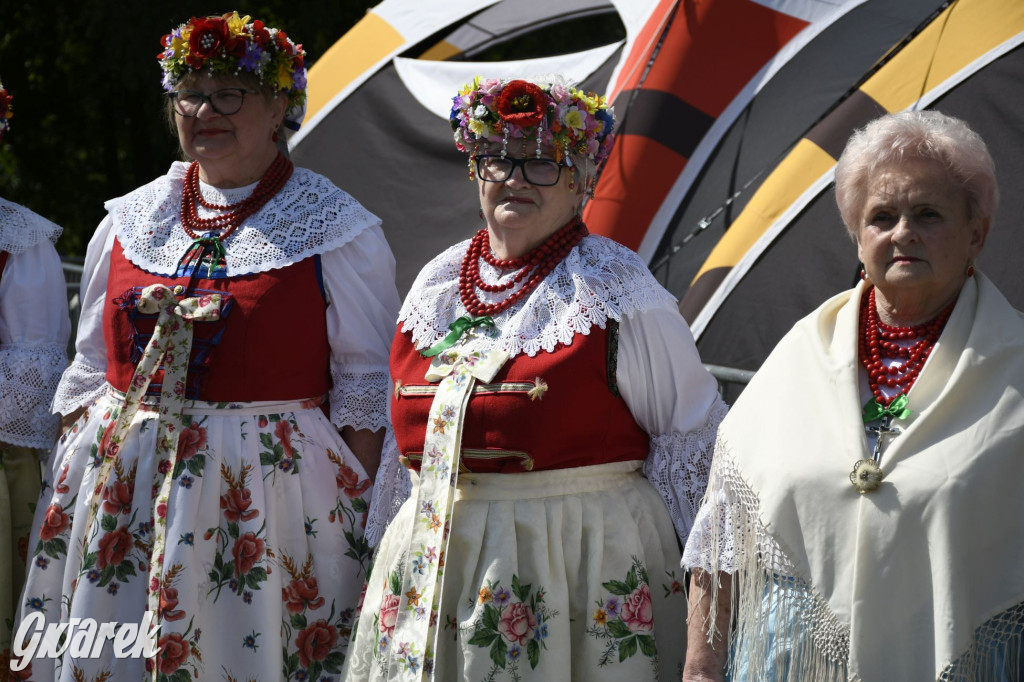 Dni Piekar Śląskich w obiektywie