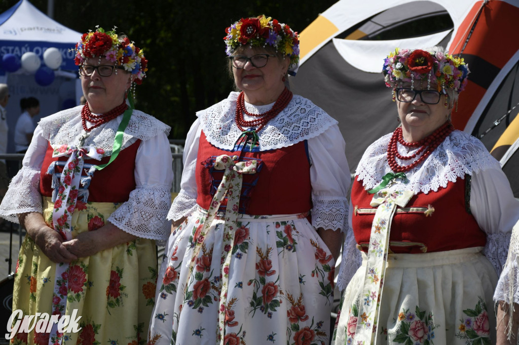 Dni Piekar Śląskich w obiektywie