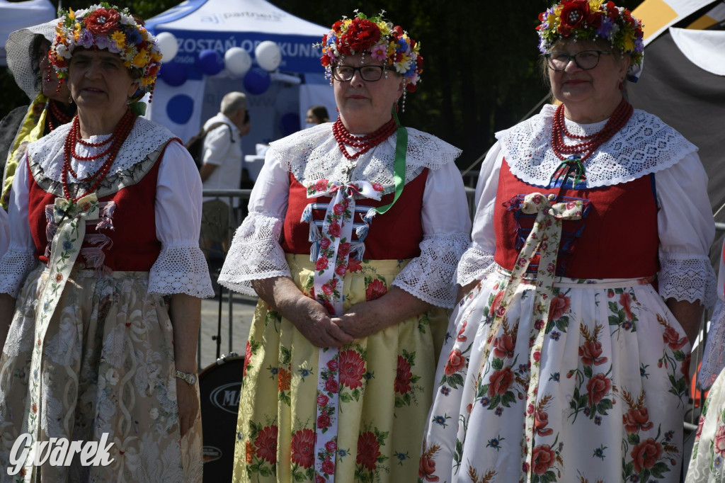 Dni Piekar Śląskich w obiektywie